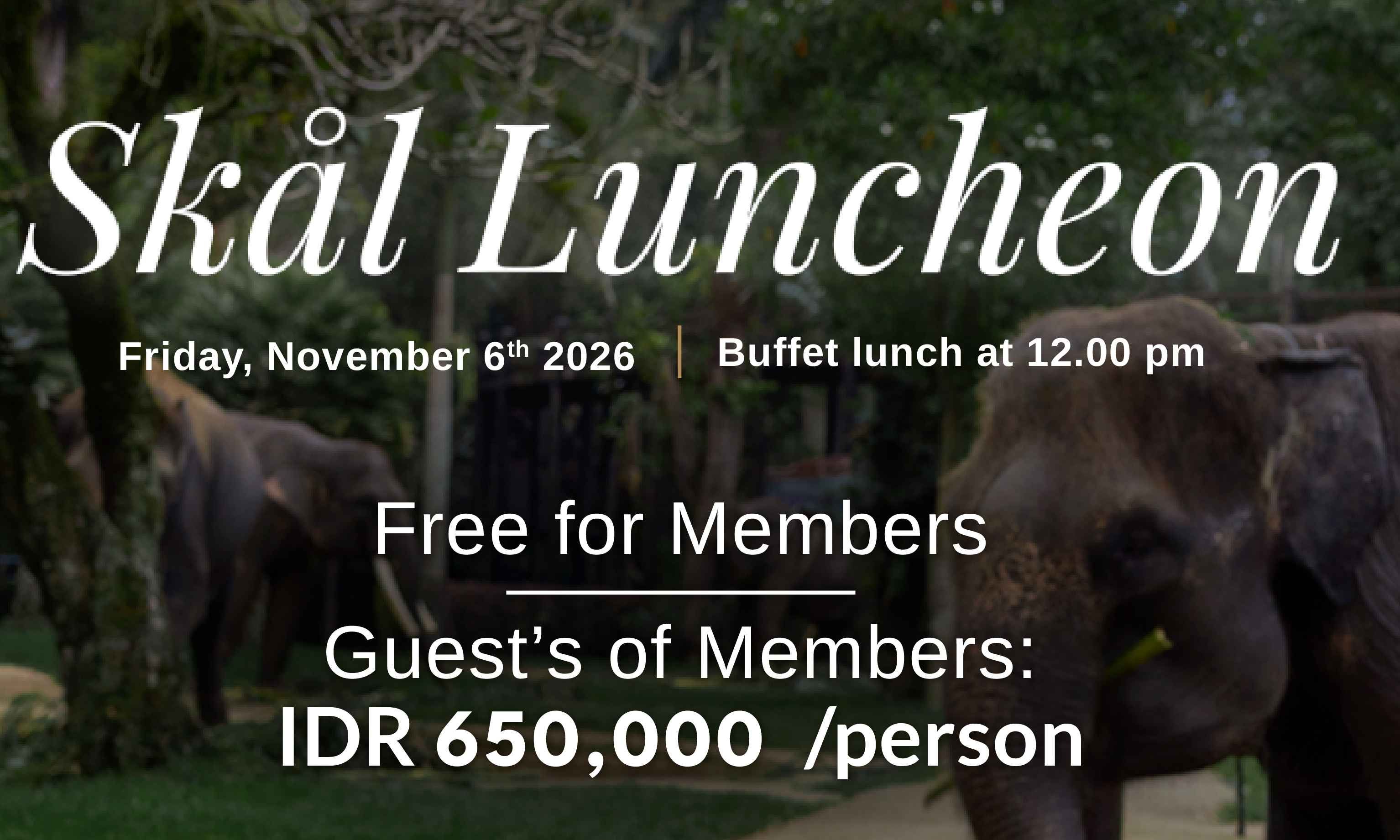 Lunch at Mason Elephant Park & Lodge